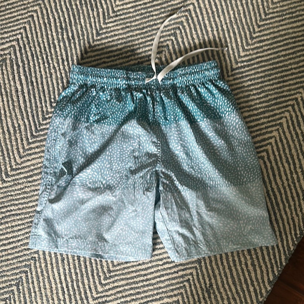 Chubbies Teal and White Patterned Swim Shorts